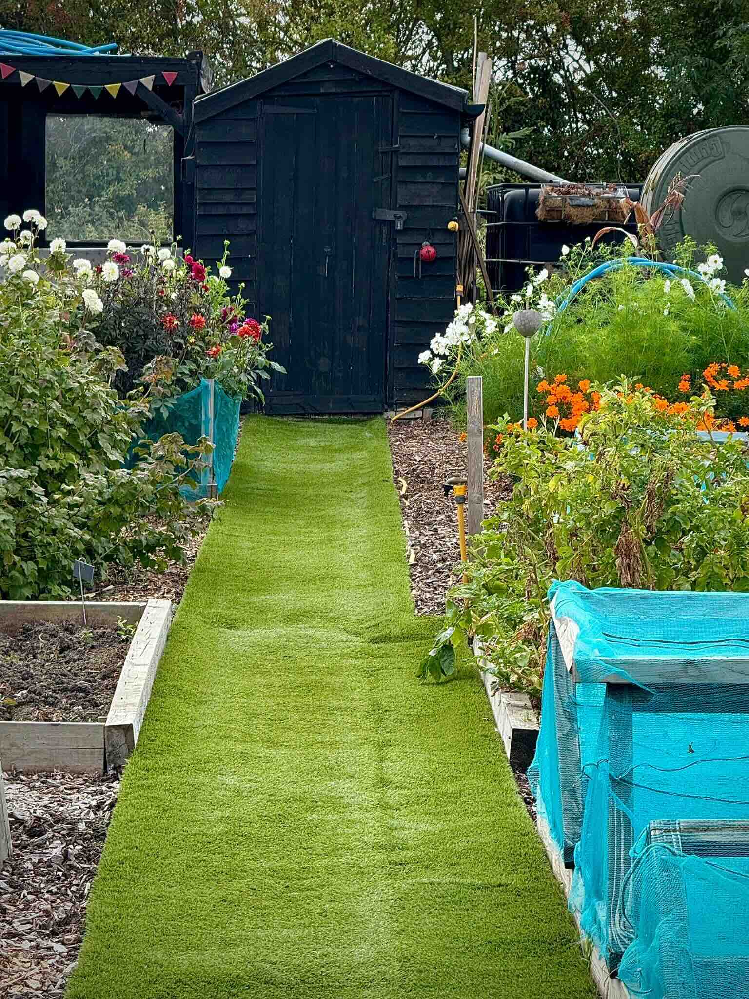 Garden plots with vegetables