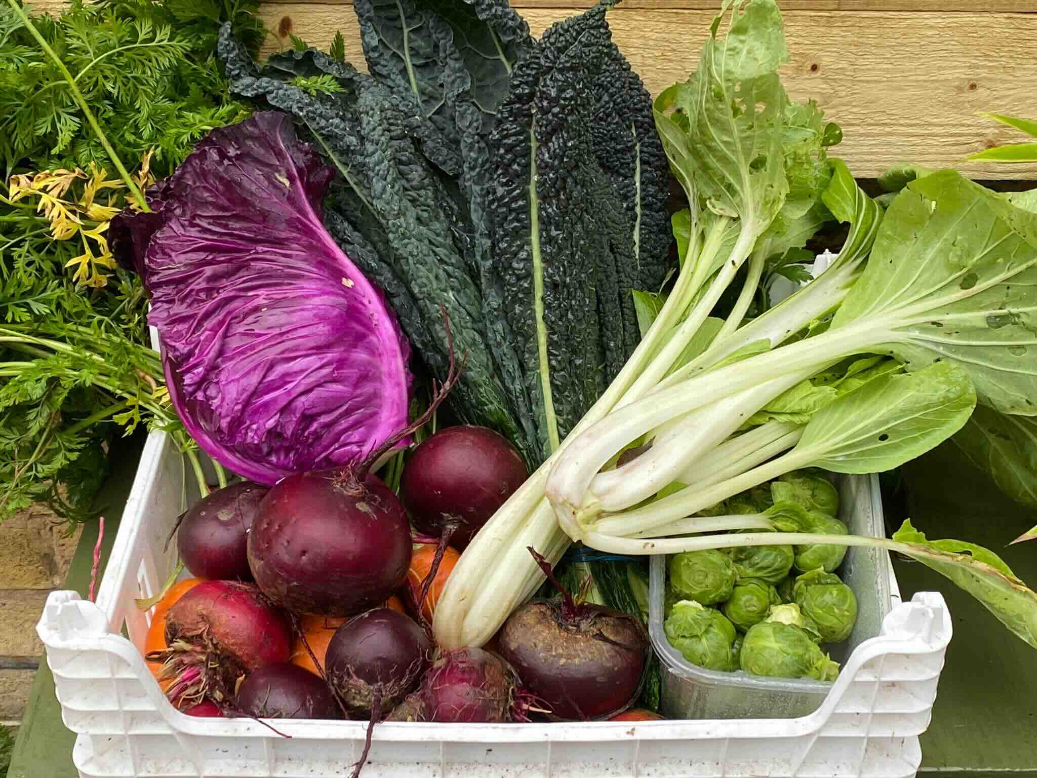 Fresh vegetables at Gransden Allotments